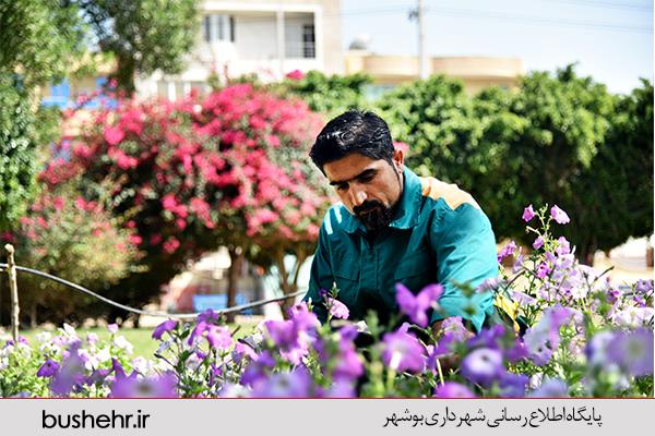 گفتگو با کارگر شاعر و ادیب  فضای سبز شهرداری بندر بوشهر