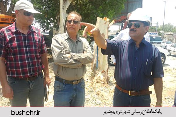 عملیات اجرایی مهم ترین پروژه عمرانی شهرداری بندر بوشهر در سال 98 آغاز شد
