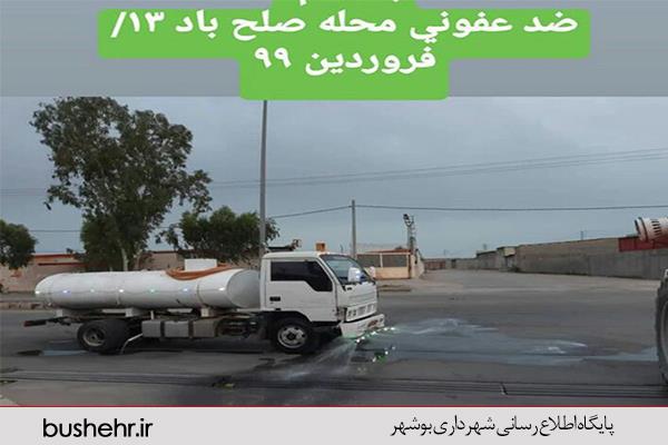 گزارش تصویری از اقدامات شهرداری بندر بوشهر در حوزه های معاونت خدمات شهری، سازمان مدیریت پسماند، فضای سبز و گندزدایی مناطق شهری