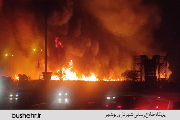 آتش سوزی در نیزارهای اطراف تقاطع شهید مطهری بوشهر مهار شد