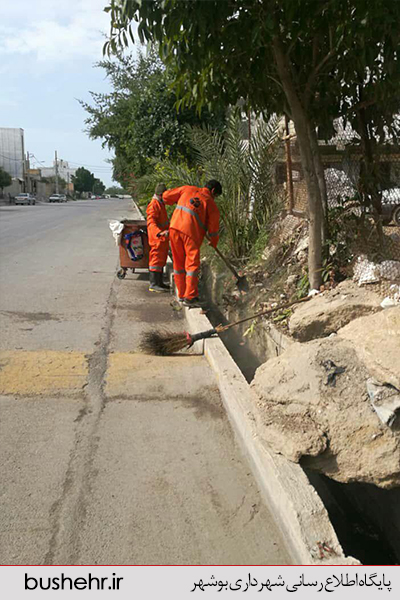 پاکسازی محلات شهر توسط پاکبانان سازمان پسماند شهرداری بندر بوشهر