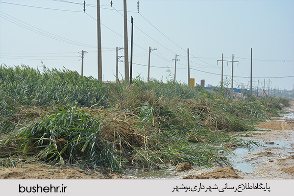 جلوگیری از آبگرفتگی