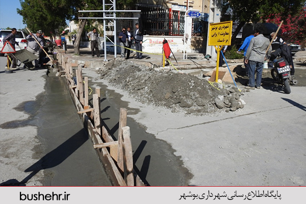 بازدید میدانی شهردار بندر