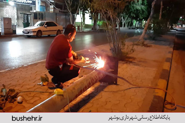 روشنایی خیابان امام(ره)