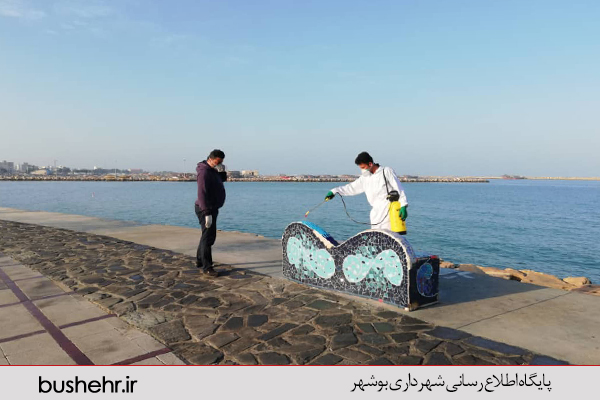 گزارش تصویری