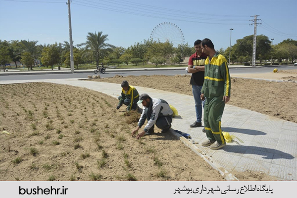 فضای سبز