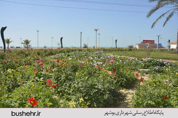 فضای سبز