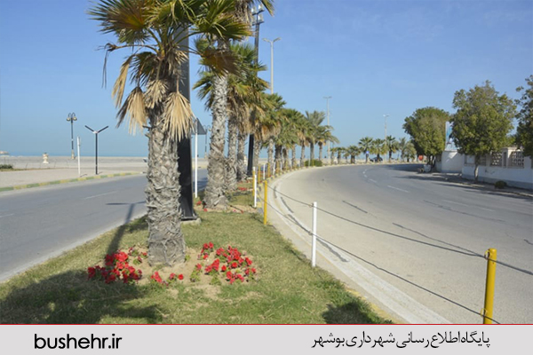 فضای سبز