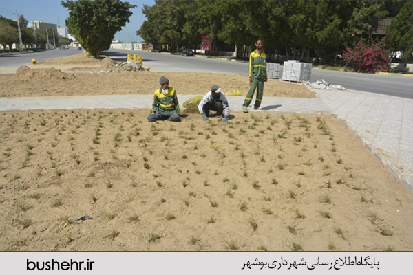 فضای سبز