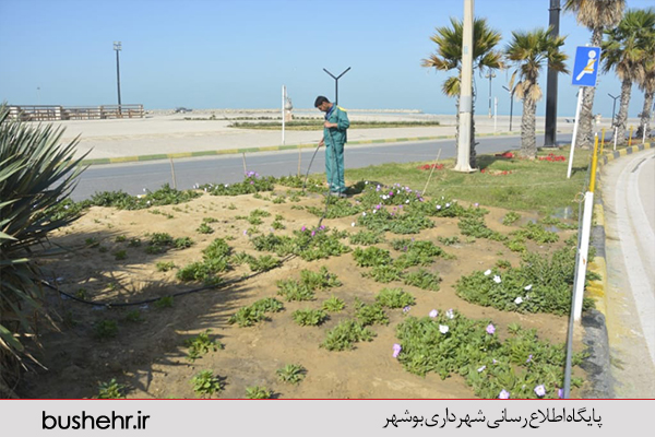 فضای سبز