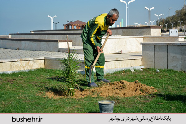 روز درخت کاری