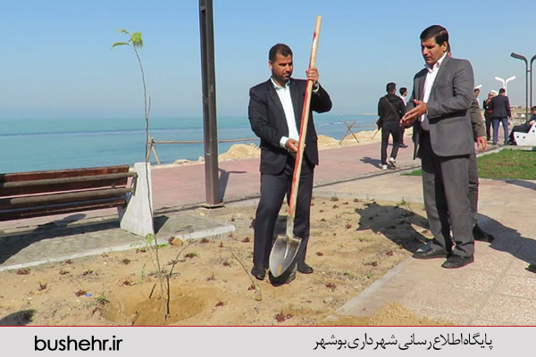 روز درخت کاری