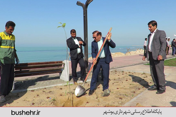 روز درخت کاری