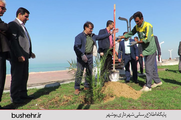 روز درخت کاری