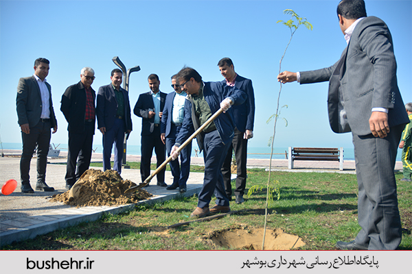روز درخت کاری