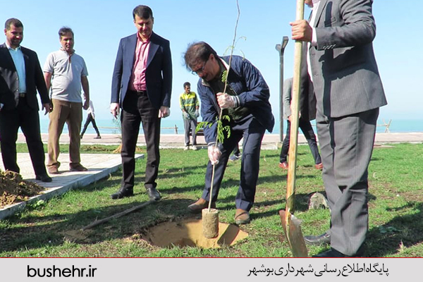 روز درخت کاری