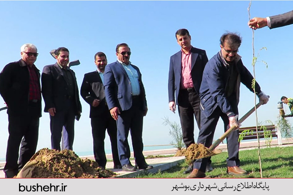 روز درخت کاری
