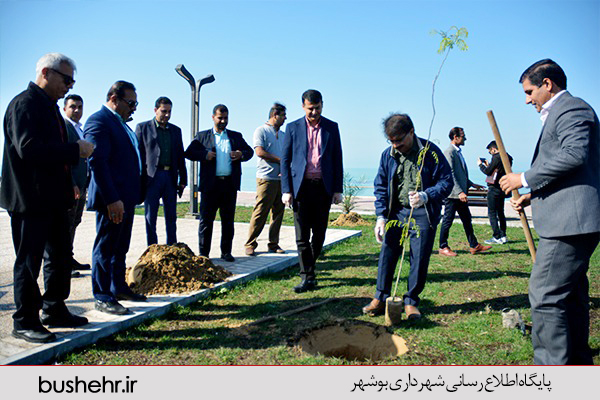 روز درخت کاری