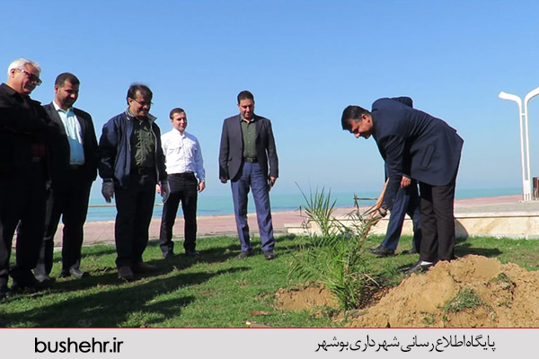 روز درخت کاری