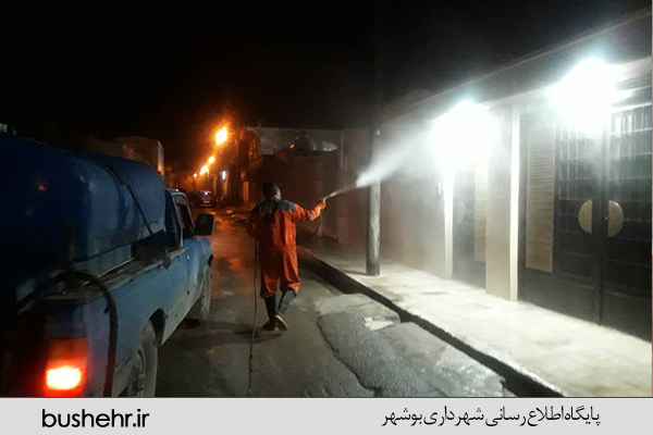 گزارش تصویری