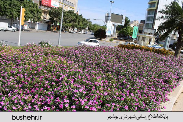 نهالستان
