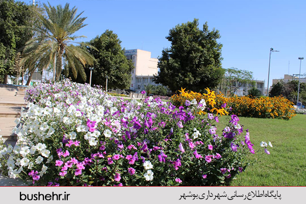 نهالستان
