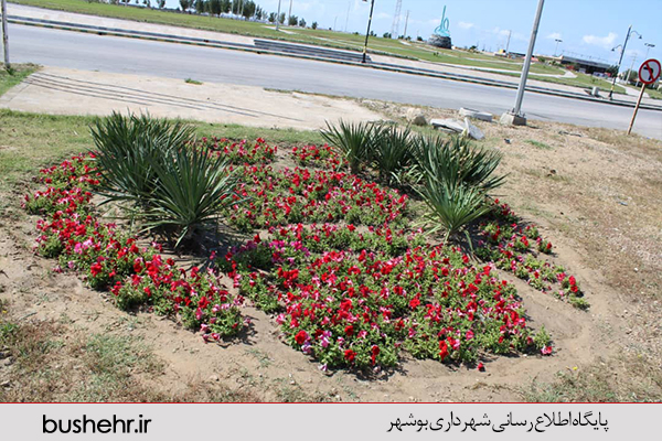 نهالستان