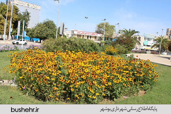 نهالستان