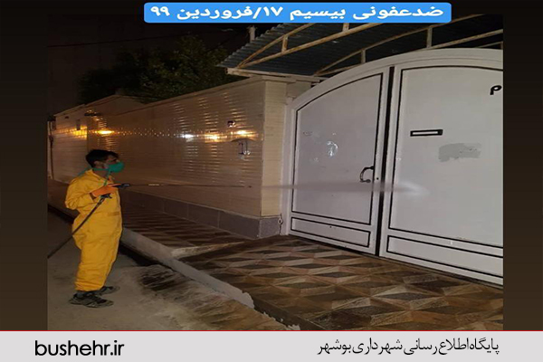 گزارش تصویری