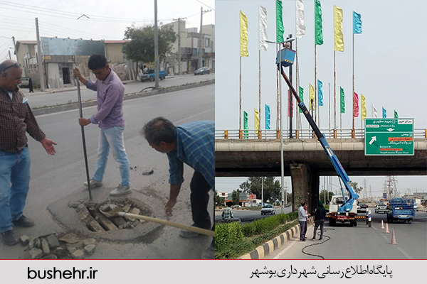گزارش تصویری