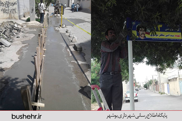 گزارش تصویری