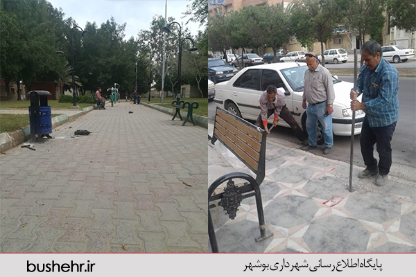 گزارش تصویری