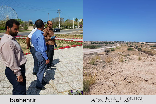 گزارش تصویری