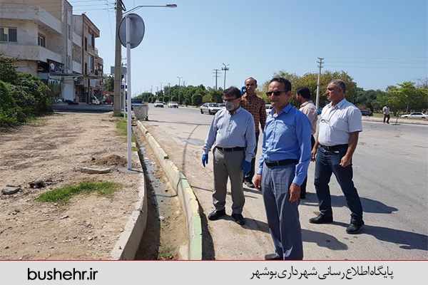 گزارش تصویری