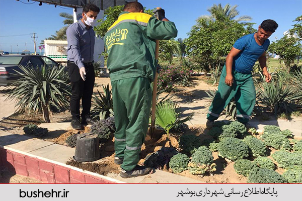 گزارش تصویری