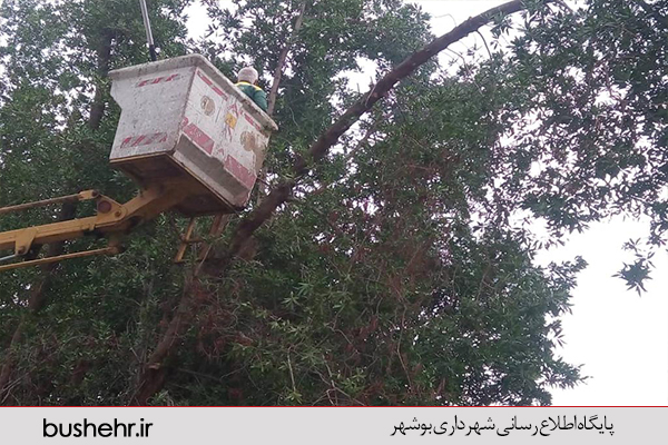 گزارش تصویری