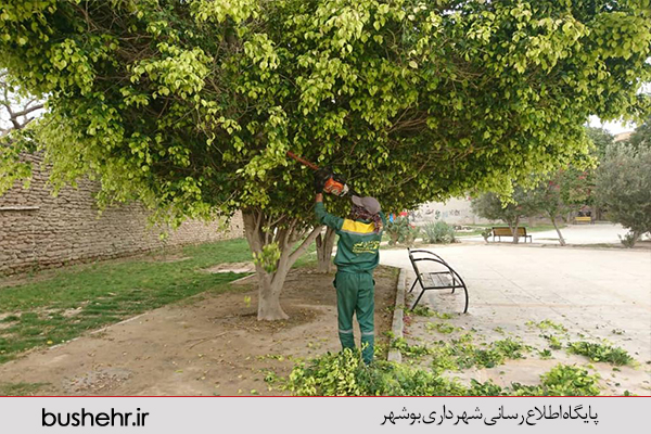گزارش تصویری