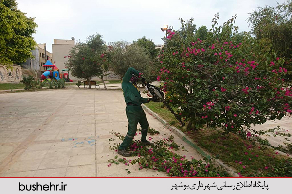 گزارش تصویری