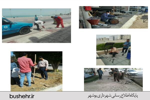 گزارش تصویری