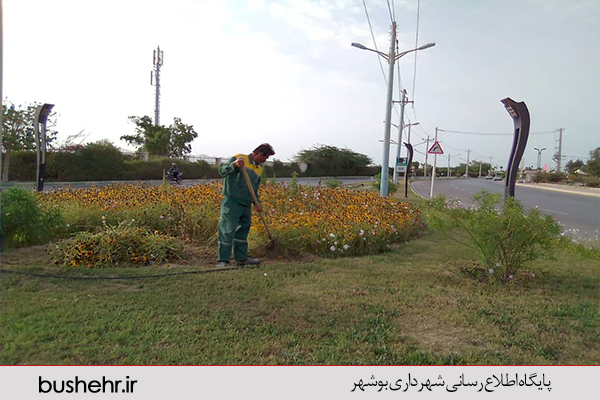 گزارش تصویری