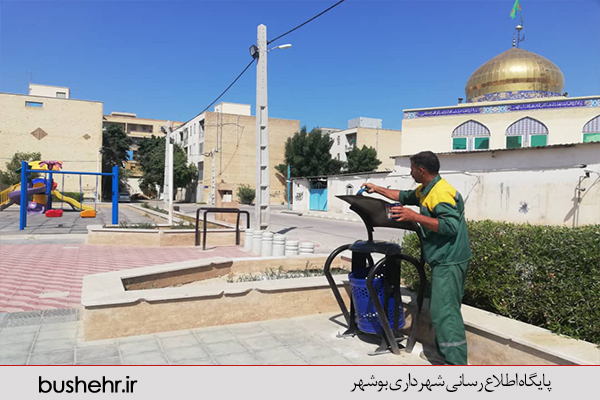 گزارش تصویری