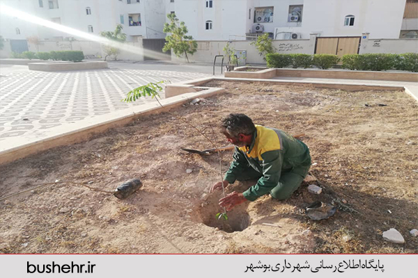 گزارش تصویری