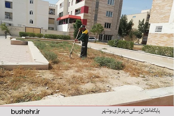 گزارش تصویری