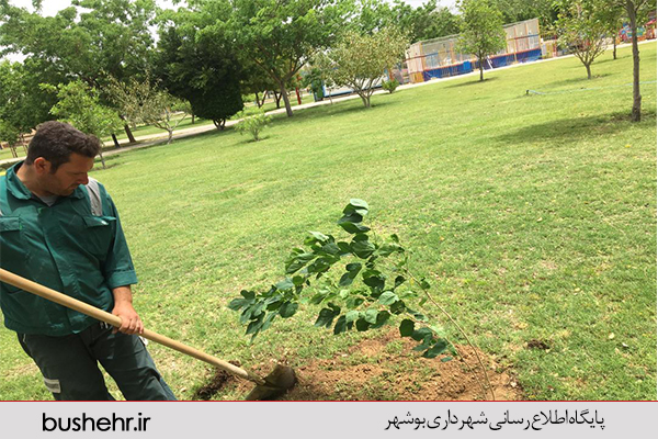 گزارش تصویری