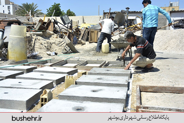 گزارش تصویری