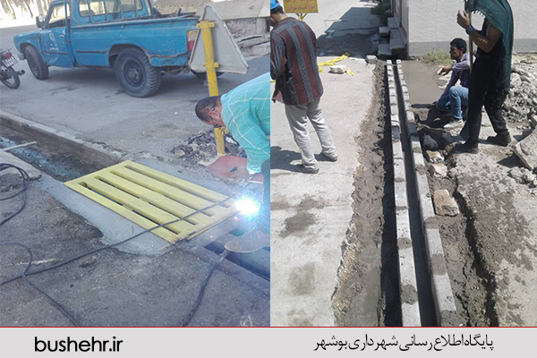 گزارش تصویری
