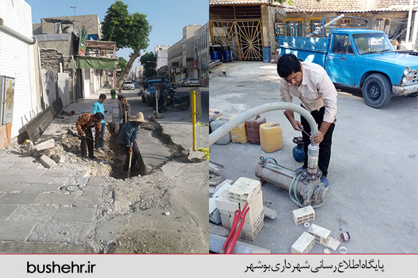 گزارش تصویری