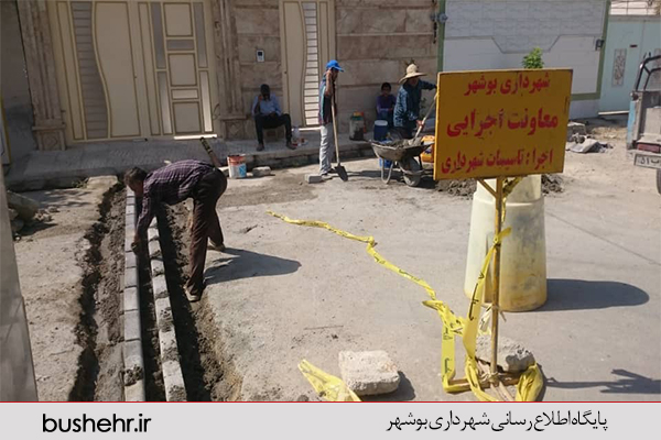 گزارش تصویری