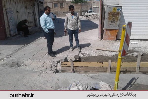 گزارش تصویری