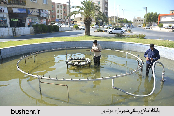 گزارش تصویری
